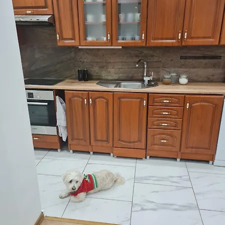 Dom Pri Rieke S Parkovanim Vakantiehuis *